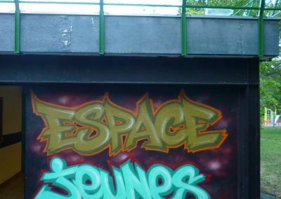 Graffiti Street Art Foyer Espace Jeunes 2015 Quartier du Biollay à Chambéry