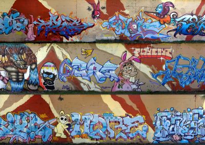 Graffiti Street art Wons Azym Eser Remi Zert Acre Abim Sixe Mobe Fase PB 2015 Chambéry (73)