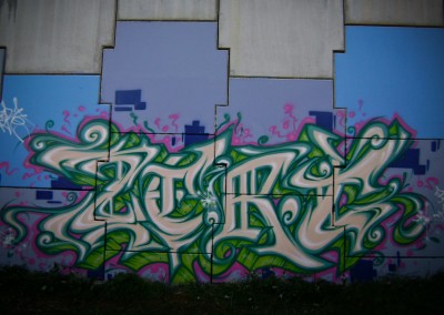 Graffiti Street art Zert en 2009 à Nancy (54)