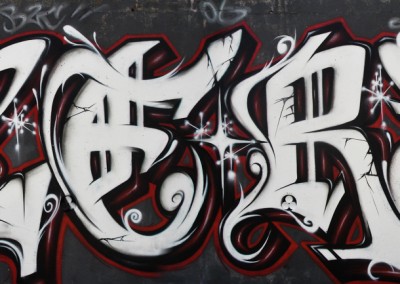 Graffiti Street art Zert en 2009 à Carros (06)