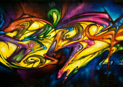 Graffiti Street art Zert en 2013 à Nice (06)