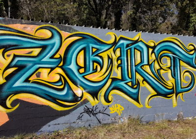 Graffiti Street art Zert en 2021 au Tignet (83)