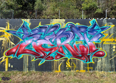 Graffiti Street art Zert en 2022 au Tignet (83)