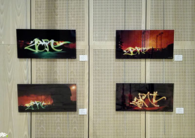 Exposition à la médiathèque de Thyez (73) en Haute-Savoie 2018