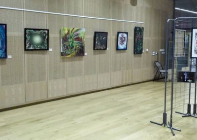 Exposition à la médiathèque de Thyez (73) en Haute-Savoie 2018